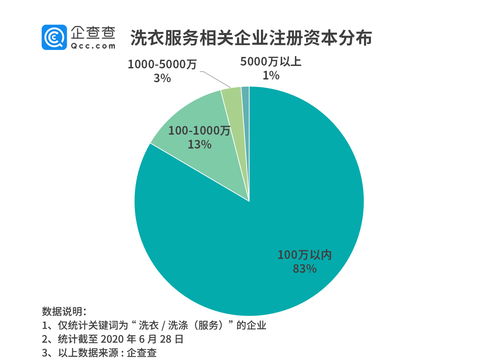 洗衣行業(yè)的互聯(lián)網(wǎng)轉(zhuǎn)型 2019年新增2.1萬家企業(yè)，工業(yè)互聯(lián)網(wǎng)數(shù)據(jù)服務(wù)引領(lǐng)變革